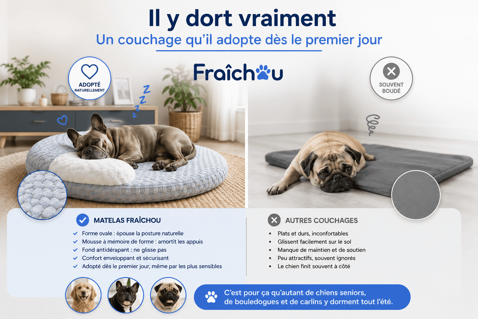 Chien bien installé sur le Matelas Fraîchou, meilleur couchage rafraîchissant